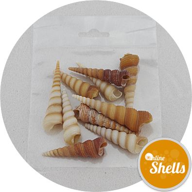 Art & Craft Pack - Art (395x395), Png Download