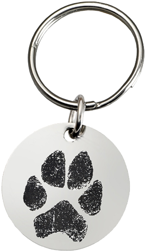 Pet Print Jewelry: Stainless Steel Oval Tag Paw Print (500x500), Png Download