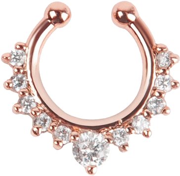 Svg Transparent Library Png For Free Download On Mbtskoudsalg - Nose Piercing Earrings (460x460), Png Download