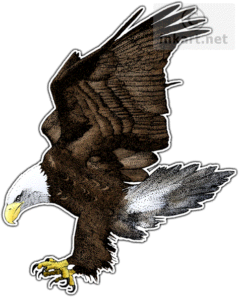 American Bald Eagle Decal - American Bald Eagle Throw Blanket (474x590), Png Download