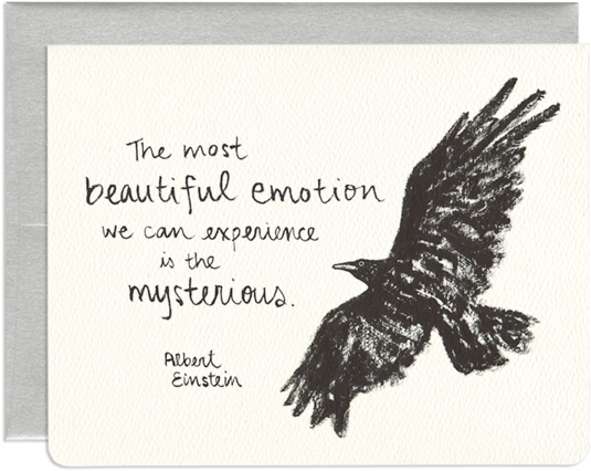 Elegant Animal Greeting Card - Greeting Card (600x496), Png Download