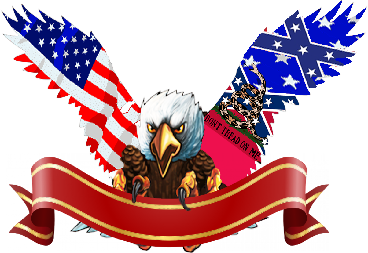 Flag Of The United States T-shirt - Eagle American Flag Png (1500x1000), Png Download