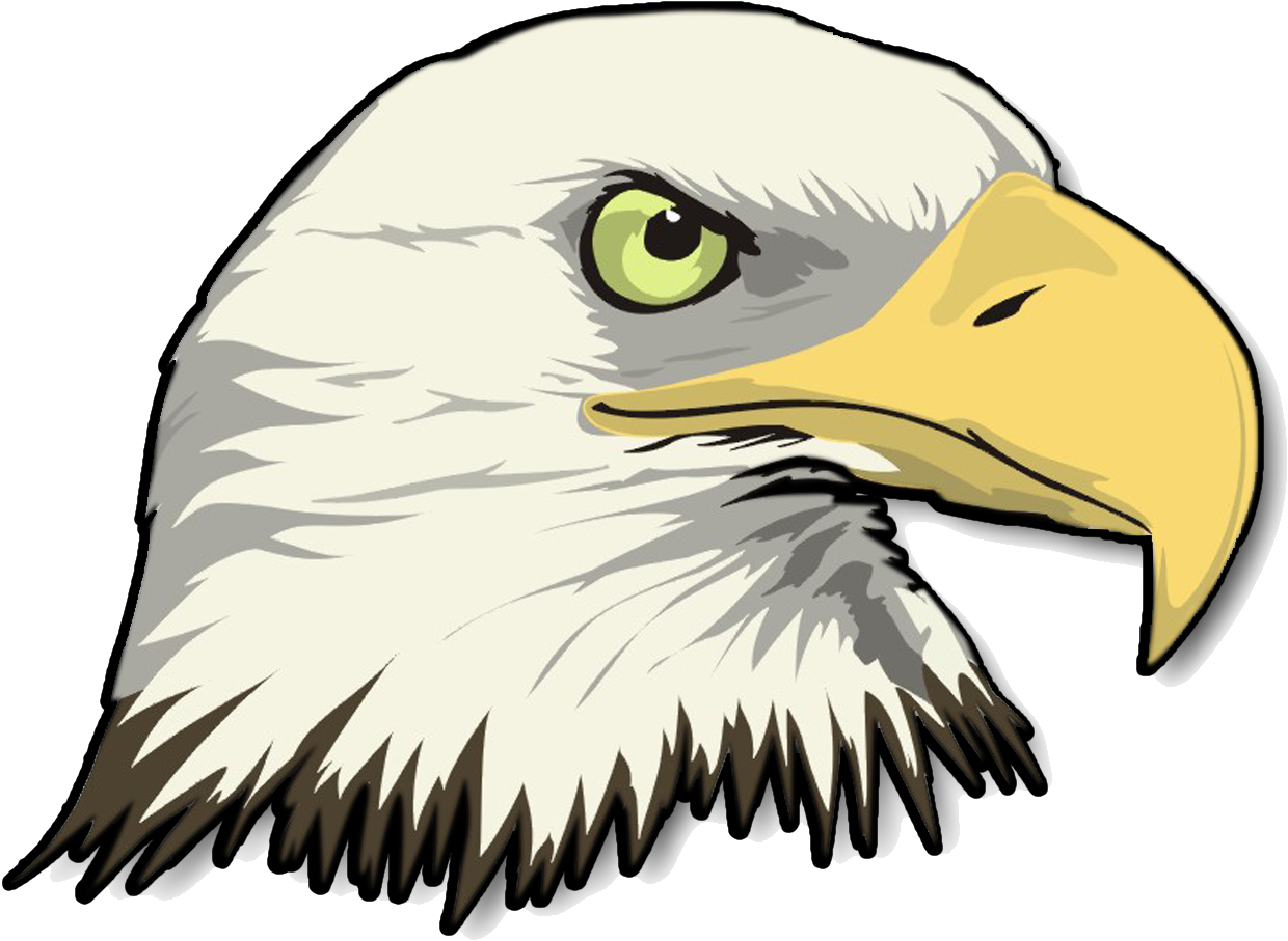 Png Stock Eagle Head Transparent Image - Bald Eagle Head Clip Art (1267x998), Png Download