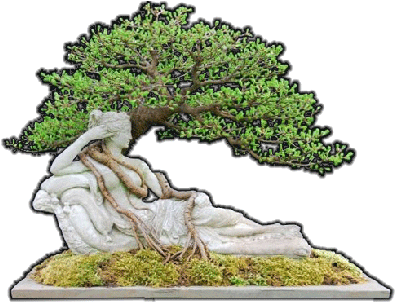 Next - Sageretia Theezans (398x308), Png Download