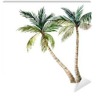 Palm Tree Isolated On White Background - Watercolor Palm Tree (400x400), Png Download