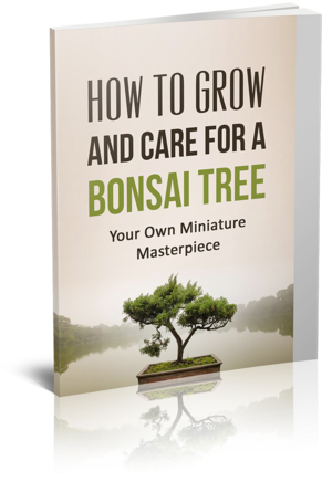 Book Bonsai Tree Care (365x480), Png Download