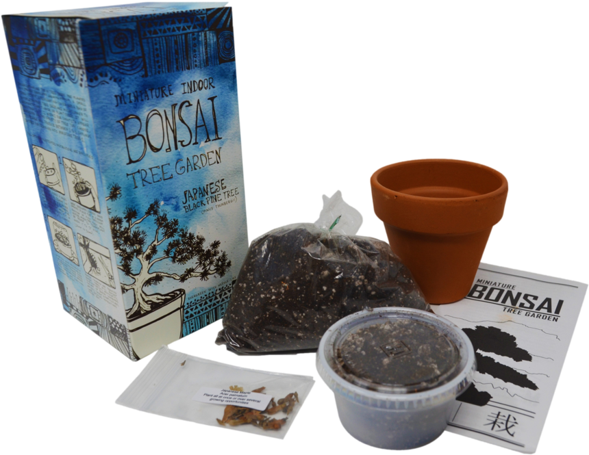 Diy Miniature Indoor Bonsai Tree Garden - Bonsai (1057x700), Png Download