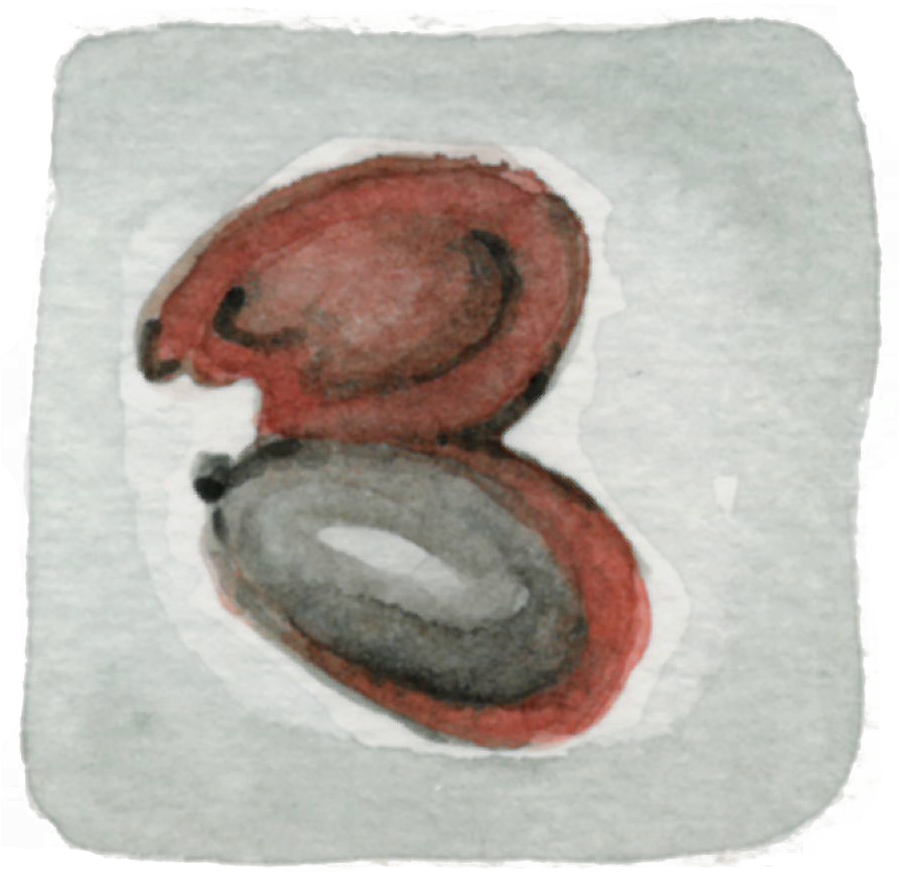 Burst Bean - Bean (897x945), Png Download