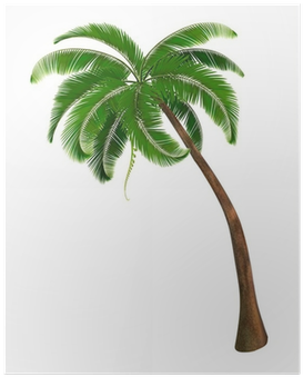 Background With A Palm Tree - Palm Trees (400x400), Png Download