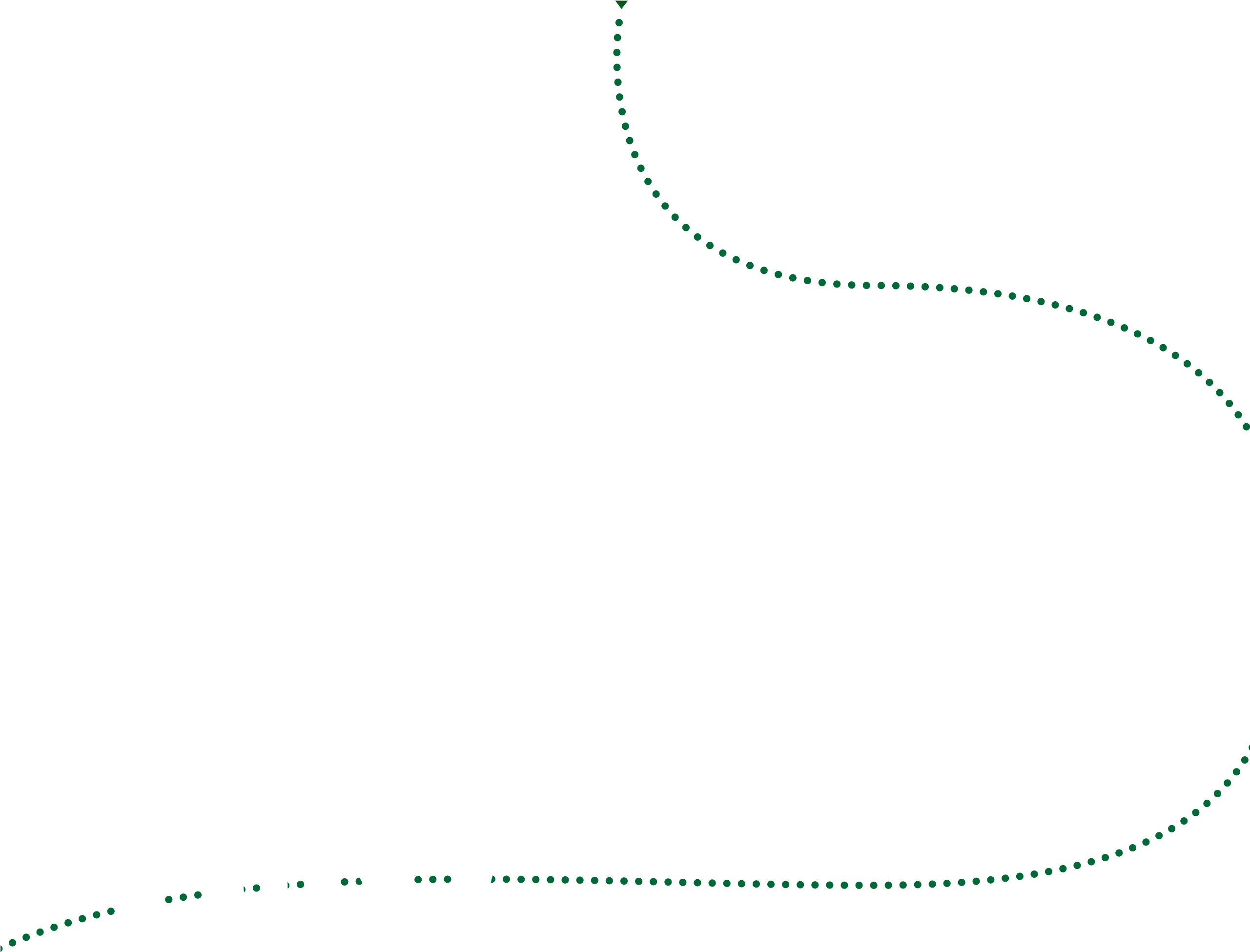 These Superior Seeds Are Then Shared With Each Of The - Slope (2560x2073), Png Download