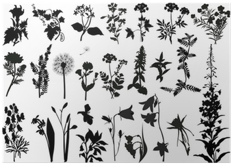 Collection Of Wild Flowers Silhouettes Poster • Pixers® - Indigoblu A5 Rubber Mounted Stamp - Victorian Garden (400x400), Png Download
