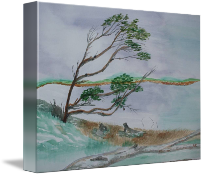 Powerful Winds Of Tierra Del Fuego Argentina (650x560), Png Download