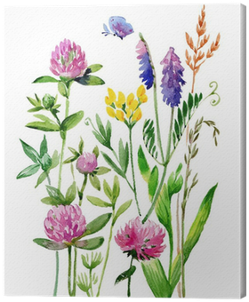 Watercolor Wildflowers And Grasses Canvas Print • Pixers® - Poszewka Na Poduszkę Vanila Lila, 50x70 Cm (400x400), Png Download