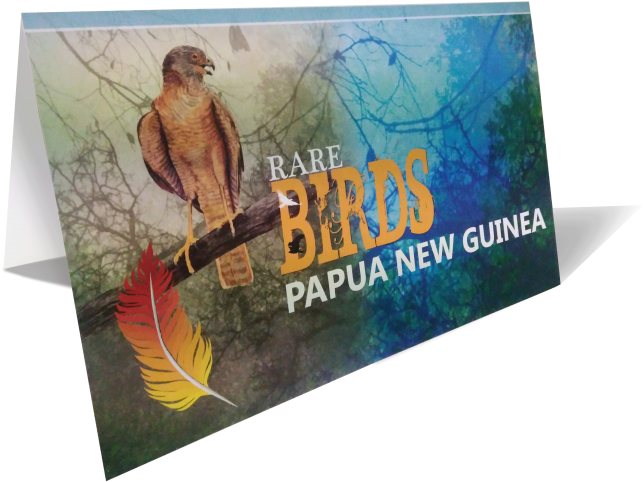 Stamp Pack - Papua New Guinea (800x600), Png Download