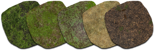 Grasses (554x350), Png Download