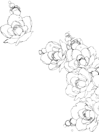 15 Manga Flowers Png For Free On Mbtskoudsalg - Manga Flowers Black And White (500x500), Png Download