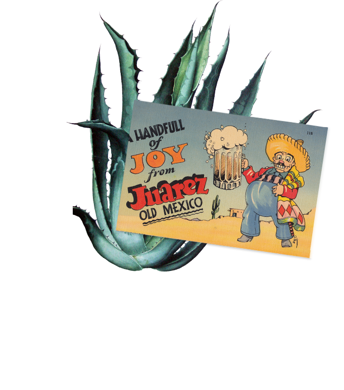 1 Bottle Of Coronita 2 Oz - 83 Oranges Canvas Prints - Agave Pattern (681x773), Png Download