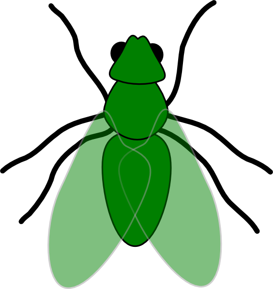 How To Set Use Green Fly Green For Web Clipart (564x597), Png Download