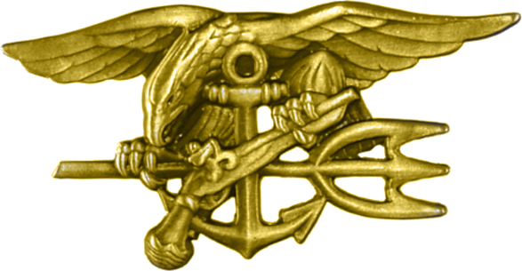 Navy Seal Emblem Clip Art - Seal Team 10 (587x305), Png Download