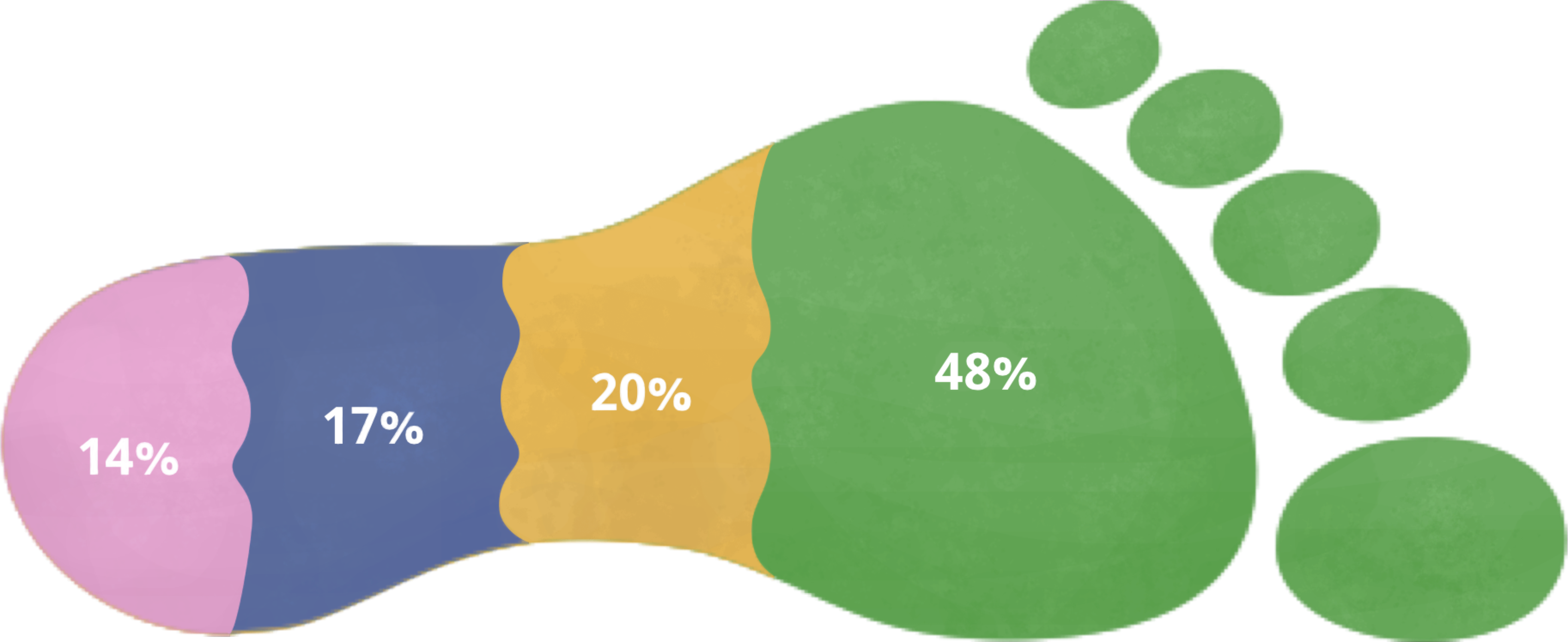 Graph Of Causes Of Vancouver's Ecological Footprint - Ecological Footprint (5478x2244), Png Download