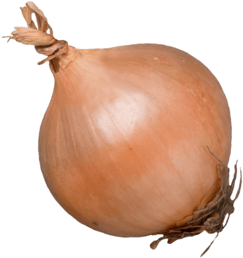 ½ Unit - Yellow Onion (640x640), Png Download