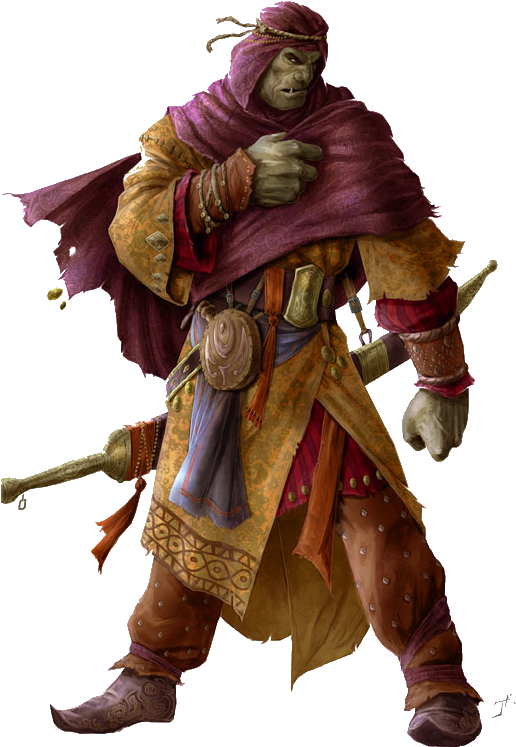 1358088856-orque 1508754517 - Pathfinder Half Orc (528x749), Png Download