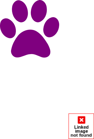 Useful - Dog Paw Print Png (402x593), Png Download