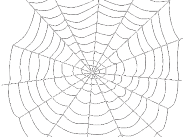 Drawn Spider Web Transparent Tumblr - Transparent Background Spider Web Png (640x480), Png Download