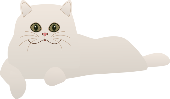 Whiskers Domestic Short-haired Cat Dog Canidae - Cat (586x340), Png Download