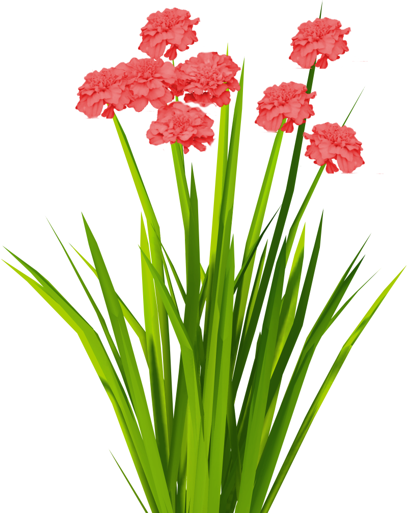 Billboard Texture Png - Flower Billboard Texture (1024x1024), Png Download