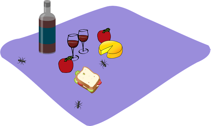 Picnic Baskets Drawing Download - Wine Gift Theres Always Time For Wine Pillow Case (567x340), Png Download
