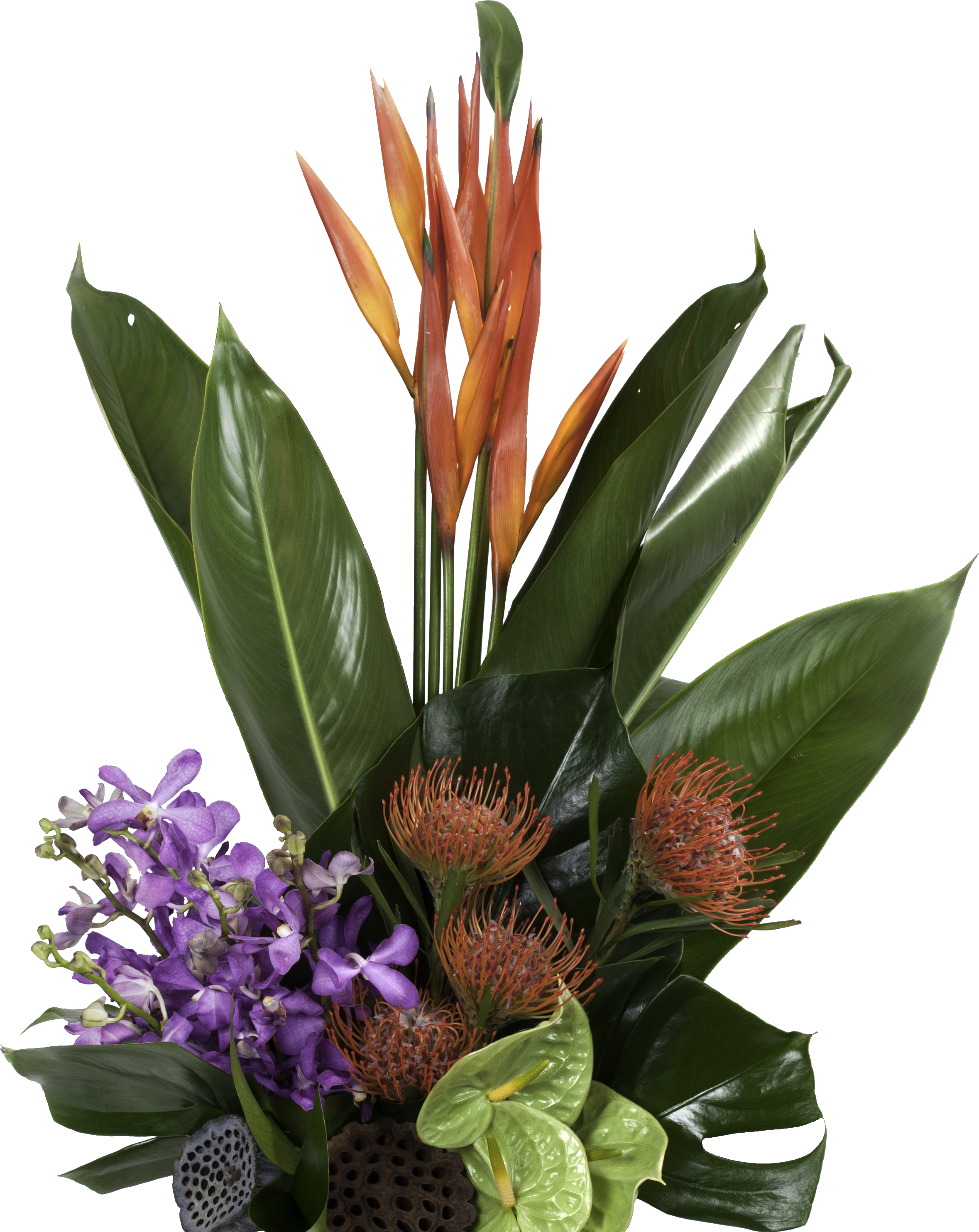 Open Texture In Full Resolution In New Tab - Heliconia (2358x2966), Png Download