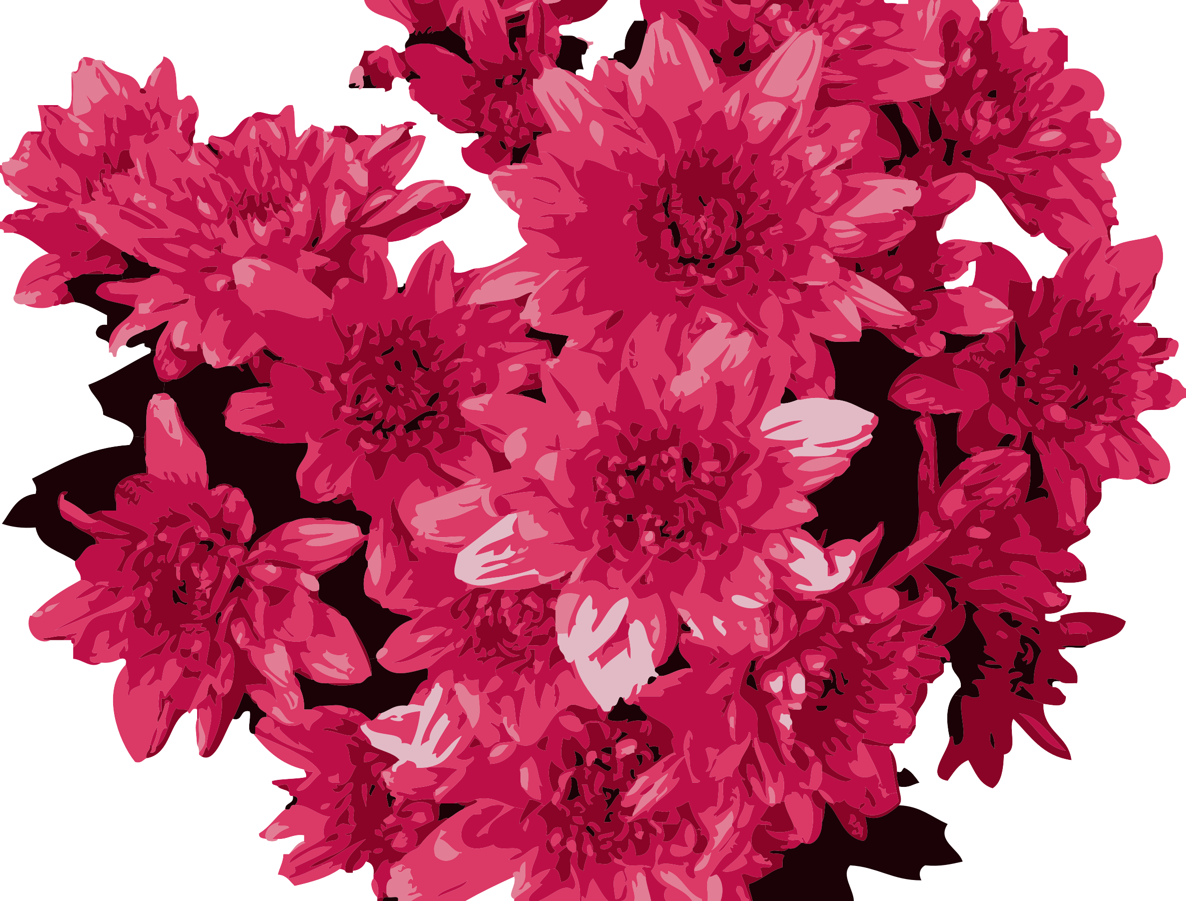 This Free Icons Png Design Of Red Flowers (2370x1800), Png Download