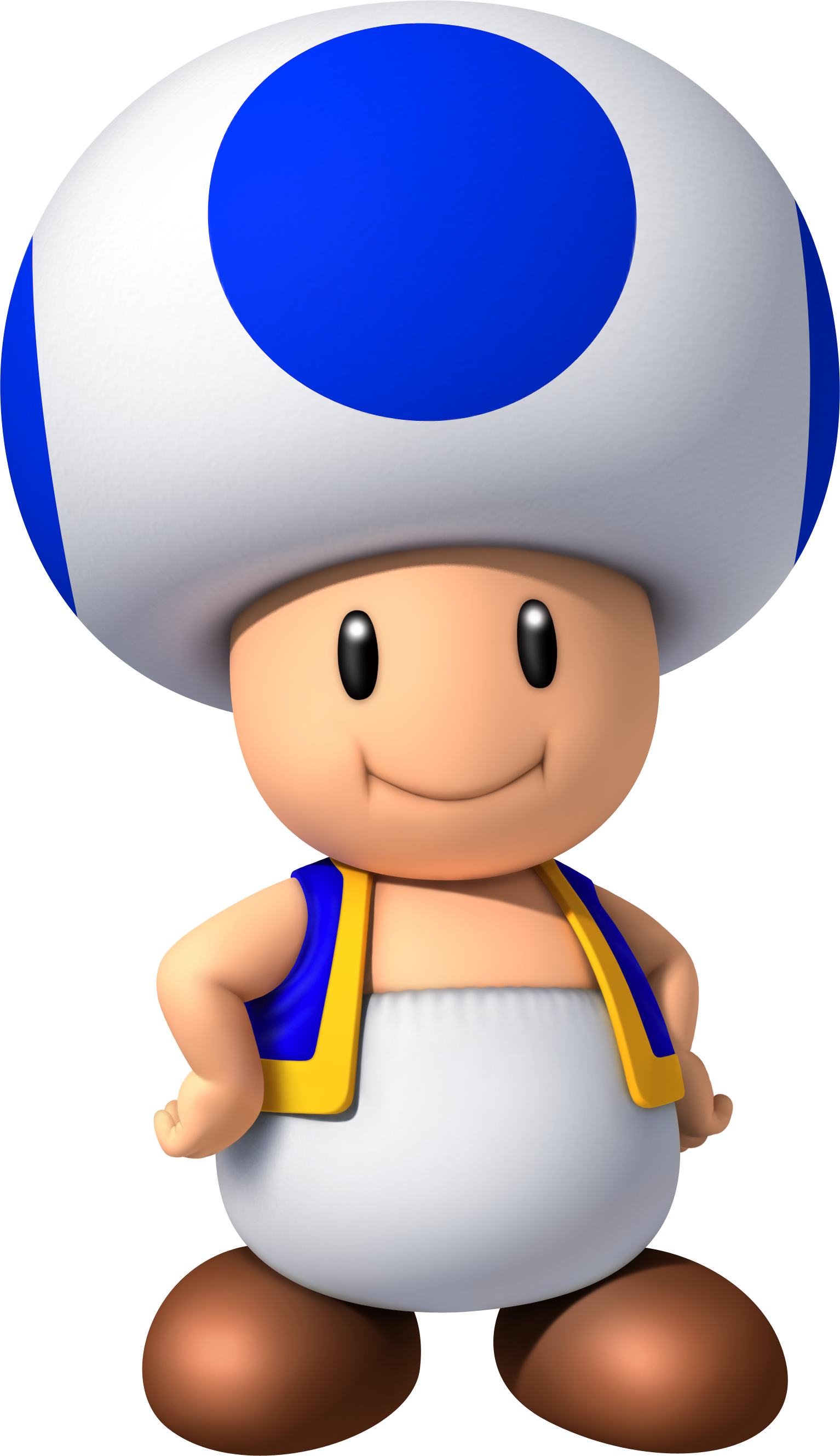 Blue Toad Nsmbw2-bb - Blue Toad Mario (1534x2657), Png Download