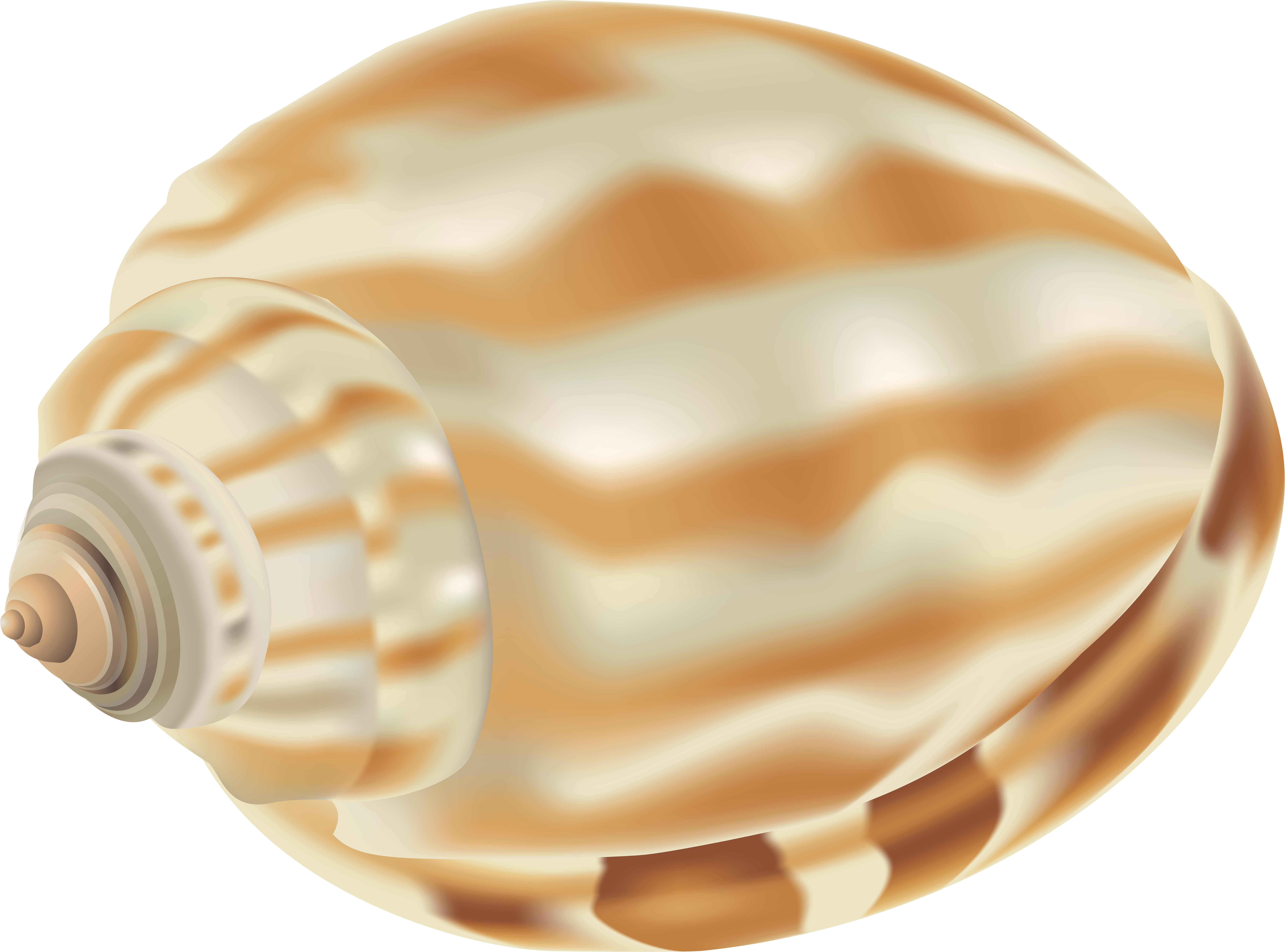 Clip Art (8000x5929), Png Download