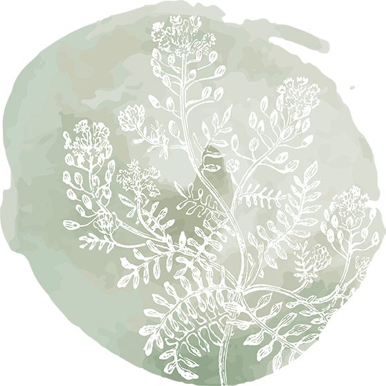 Internal - Motif (558x558), Png Download