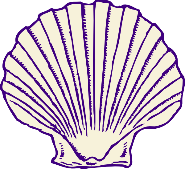 Small - Transparent Sea Shell Clip Art (600x549), Png Download