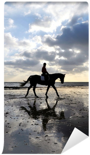 Silhouette Of A Horse Rider Walking On Beach Wall Mural - Natural Vet Nutrition Ecalm Horse Calmer - 1kg Tub (400x400), Png Download