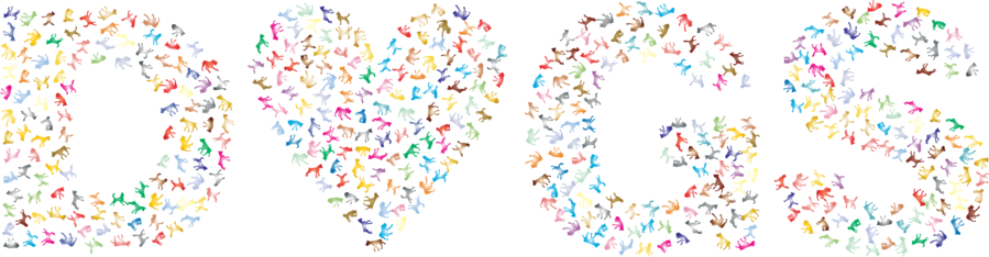 Clip Art Clipart Border Collie Labrador Retriever Clip (899x234), Png Download