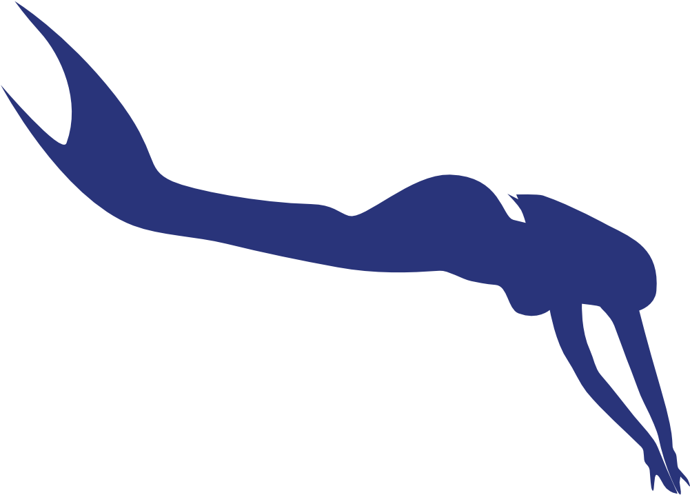 Mermaid Mermaid - Mermaid (1024x733), Png Download