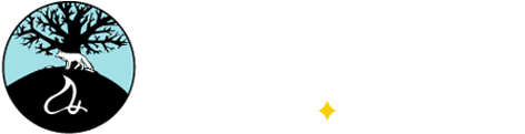 Authentic Gaming Partners Foxwoods Resort Casino - Foxwoods Resort Casino Logo (509x340), Png Download