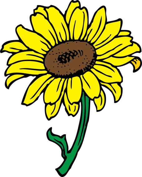 Girasol - Sunflower Clip Art (456x568), Png Download