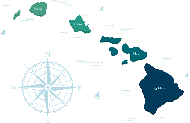 Aloha Beach Vacations - Hawaii Island Clipart (629x407), Png Download