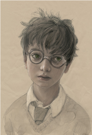 The Illustrated Edition Of Harry Potter And The Sorcerer's - Jim Kay Harry Potter Portrait (800x450), Png Download