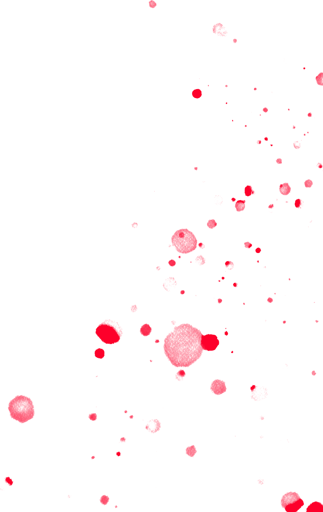 To - Circle (1072x1696), Png Download