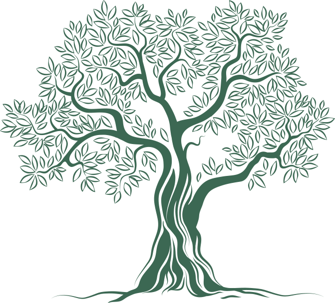 Olive Tree Logo Png (671x608), Png Download
