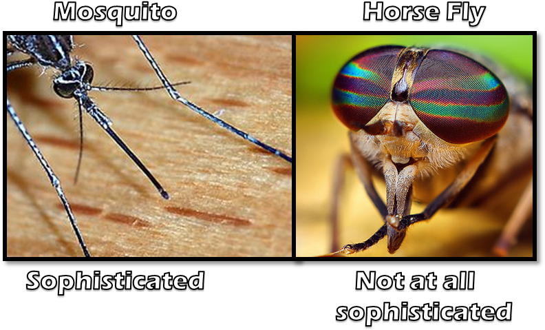 The Mostquito Is Like Modern Day Medical Equipment - Get The Swatter: A Look At Flies (nematocera Suborder) (793x521), Png Download