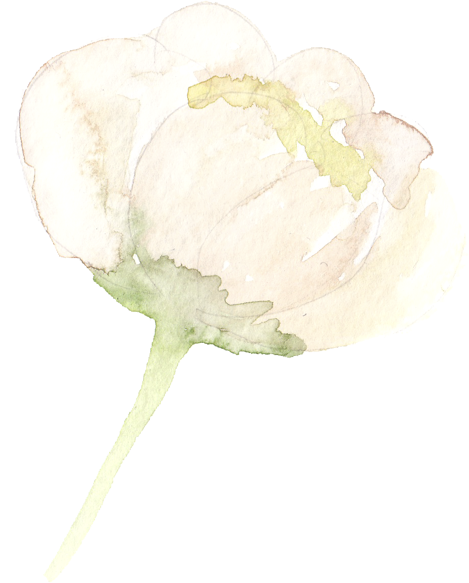 From Tahoe To The Bay Area We Are Your Go To Gals For - Watercolor Painting (1017x1234), Png Download