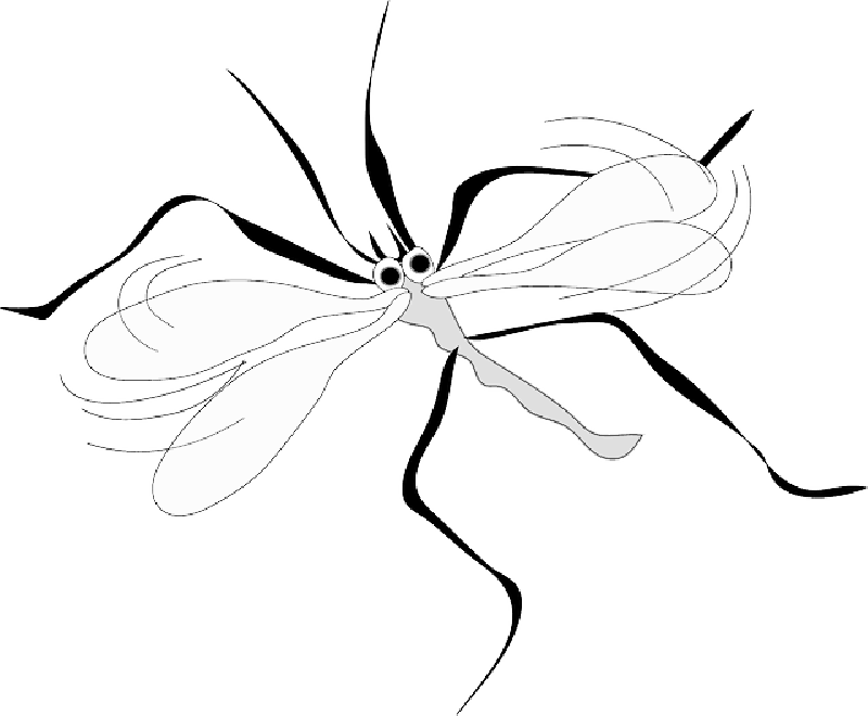 Mb Image/png - Mosquito Clip Art (800x660), Png Download