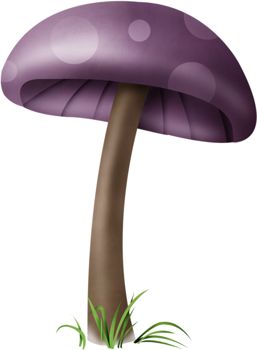 ○••°‿✿⁀shrooms‿✿⁀°••○ - Mushrooms Illustrations Png (694x800), Png Download